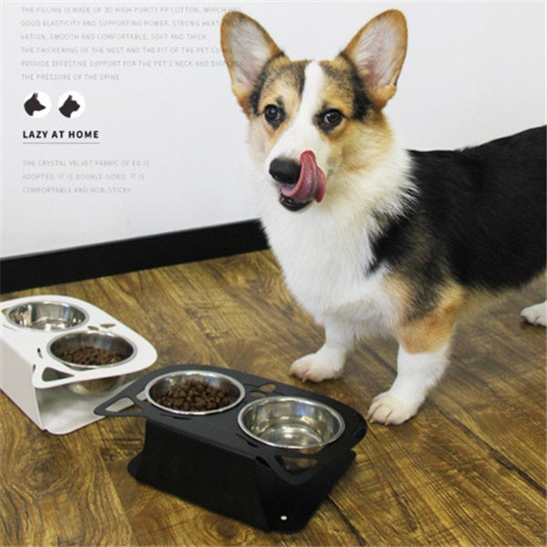 Anti-Falling Cat & Dog Feeding Bowl – Tilted Design for Easy Eating