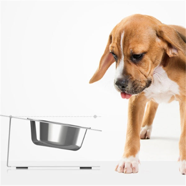 Anti-Falling Cat & Dog Feeding Bowl – Tilted Design for Easy Eating