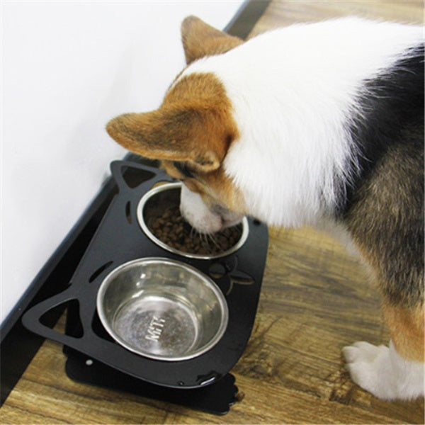 Anti-Falling Cat & Dog Feeding Bowl – Tilted Design for Easy Eating